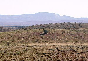 Mt Zeil
