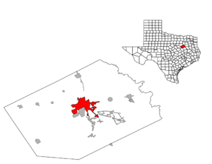 Location within Navarro County and Texas