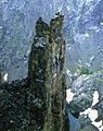 Petit Grepon from Sharks Tooth