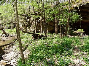 Portland Arch NNL Fountain County Indiana