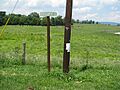 Quigley Road Sign, Cumberland Co., Pa. 8-10-08