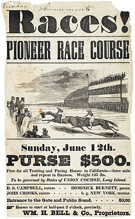 Races! Pioneer Race Course advertisement