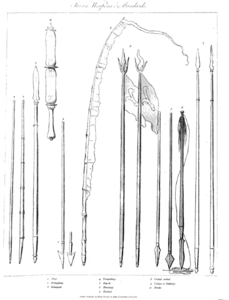 Raffles Javan Weapons and Standards