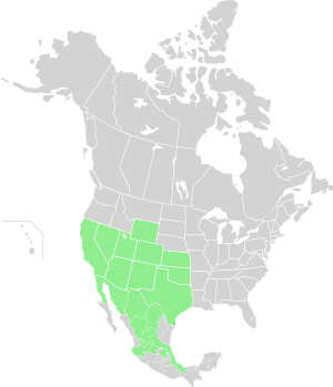 Range map-Senecio flaccidus-North America.svg