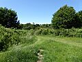 Red Lodge Heath 3