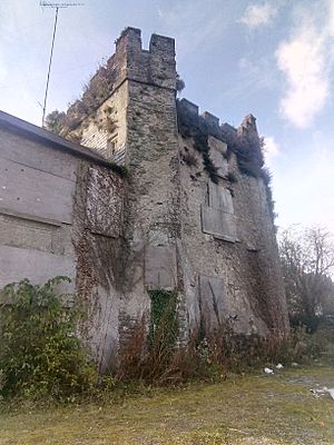 Saint David's Castle, Naas, Ireland.jpg