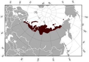Siberian Brown Lemming Lemmus sibiricus distribution map.png