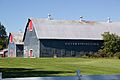 Silver spring farm
