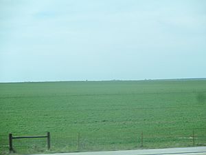Southern Great Plains in Oklahoma IMG 6980