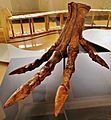 Spinosaurus foot restoration