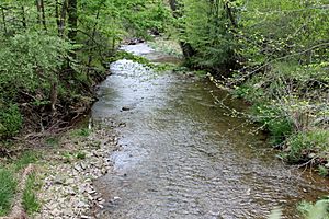 Stony Brook (Pennsylvania)