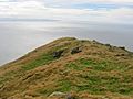 Summit ridge, Ailsa Craig