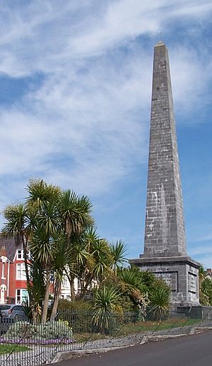 Thomas Picton Monument Carmarthen by Aberdare Blog.jpg