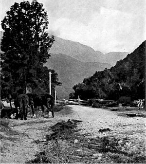 Through south Westland, a journey to the Haast and Mount Aspiring, New Zealand (1911) (14596853488)