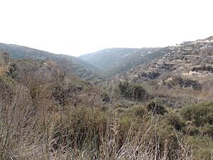 Tsada, Cyprus - panoramio (37).jpg