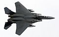 USAF F-15D Top