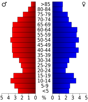 USA Marion County, Arkansas age pyramid