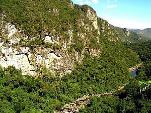 Veadeiros1 leofleck