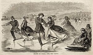 Winslow Homer - Skating on Jamaica Pond, near Boston - 1942.1364 - Cleveland Museum of Art