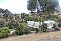 Wolta Wolta Homestead