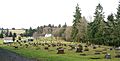 Woodbine Green Mountain Cemeteries - Rainier Oregon