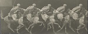 Étienne-Jules Marey - Arab Horse Gallup - Google Art Project