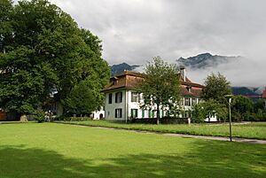 2011-07-21-Interlaken (Foto Dietrich Michael Weidmann) 050