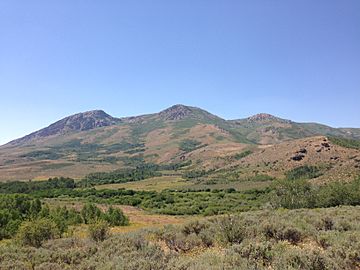 2013-07-21 14 16 04 View of Porter Peak in the Bull Run Mountains in Nevada from Elko County Route 729 (Trail Creek Road).jpg