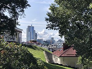 2019 07 17 16 41 IMG 4786