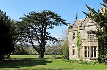 4951 Stoke Lodge house and cedar tree (8715381728)