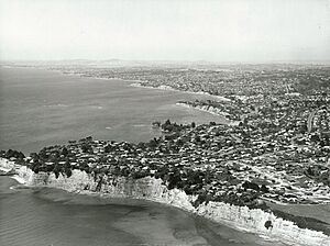 Aerial of North Shore coastline at Torbay (1977)