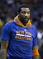 Amar'e Stoudemire Knicks 2013
