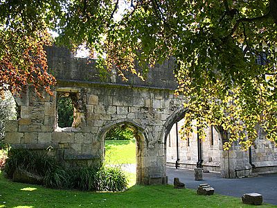 Archway in Museum Gardens, York - geograph.org.uk - 1415751