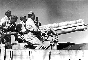 Artiglieria autotrasportata nel deserto di Bir el Gobi nell'autunno-inverno 1941