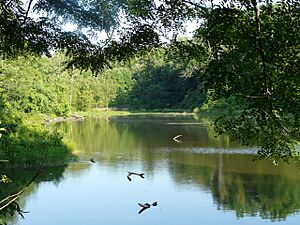 Audubonwildernesslake