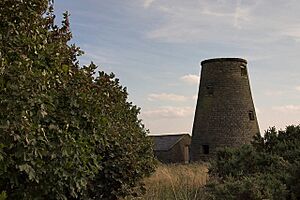 Beacon Windmill near Ravenscar - geograph.org.uk - 94016