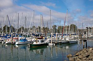 Boats in Santa Cruz Harbor (6868331295)