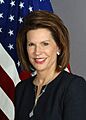 Brinker nancy 200