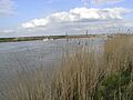 Canal maritime de Marans à la mer 001