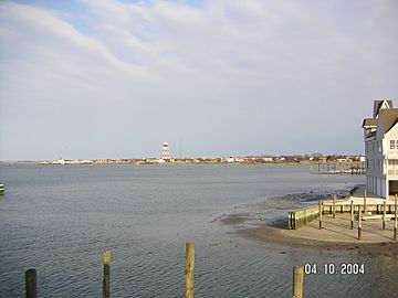 Cape May Harbor