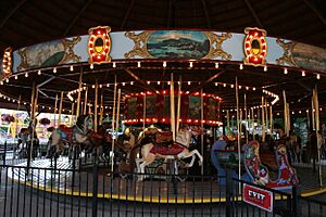 Carousel Horses at DelGrosso Park - panoramio (8)