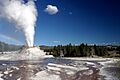 Castle Geyser (3678669019)