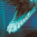 Chlamydoselachus anguineus (mouth and teeth) by OpenCage