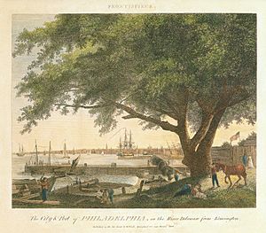 City & Port of Philadelphia Birch's Views Frontispiece