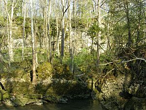 Clifton Gorge P4260050