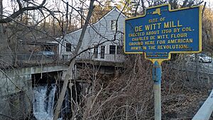 DeWittMill