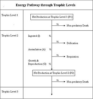 Energy transfer