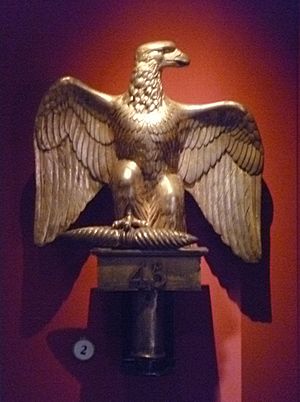 Ensign Ewart's Eagle