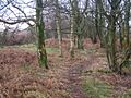 Footpath by Duddon Mosses - geograph.org.uk - 1097683