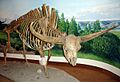 Giant bison